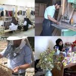 پای خیران به توانمندسازی مددجویان باز شد؛از مستمری‌بگیری تا اشتغالزایی